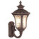 Oxford Three Light Outdoor Wall Lantern in Hand Applied Imperial Bronze (107|7656-58)