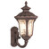 Oxford One Light Outdoor Wall Lantern in Hand Applied Imperial Bronze (107|7652-58)