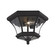 Monterey Two Light Outdoor Ceiling Mount in Black (107|7052-04)