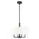 Meridian Four Light Chandelier in Black w/ Brushed Nickels (107|49374-04)