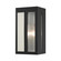Lafayette One Light Outdoor Wall Lantern in Black w/ Hammered Brushed Nickel Panels (107|27411-04)