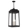 Oslo Four Light Outdoor Pendant in Black w/ Brushed Nickels (107|20863-04)