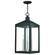 Nyack Three Light Outdoor Pendant in Black w/ Brushed Nickel Cluster (107|20587-04)