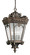 Tournai Four Light Outdoor Pendant in Londonderry (12|9564LD)