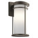 Toman One Light Outdoor Wall Mount in Olde Bronze (12|49688OZ)