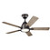 Arvada 44''Ceiling Fan in Anvil Iron (12|330090AVI)