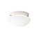 Ceiling Space Two Light Flush Mount in White (12|209WH)