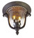 Santa Barbara Two Light Outdoor Flush Mount in Burnished Bronze (33|9017BB)