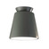 Radiance One Light Outdoor Flush-Mount in Pewter Green (102|CER-6170W-PWGN)