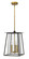 Walker LED Hanging Lantern in Buckeye Bronze (13|2102KZ-LL)