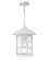 Freeport Coastal Elements LED Outdoor Lantern in Textured White (13|1862TW)