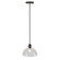 Della One Light Mini Pendant in Black and Brushed Nickel (112|2734-01-40)