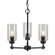 Jayden Three Light Chandelier in Black (112|2614-03-04)