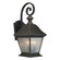 Three Light Outdoor Lantern in Royal Bronze (112|1046-03-14)