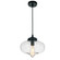 Glass One Light Mini Pendant in Black (401|5570P11 - Clear)