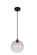 Glass One Light Mini Pendant in Black (401|5553P10-Clear)