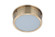 Fenn LED Flushmount in Satin Brass (46|X6709-SB-LED)