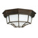 Outdoor Two Light Outdoor Flush Mount in Old Bronze (65|9800OB)
