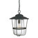 Creekside One Light Outdoor Hanging Lantern in Black (65|9604BK)