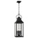 Bradford Four Light Outdoor Hanging Lantern in Black (65|946442BK)