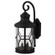 Outdoor One Light Outdoor Lantern in Black (387|IOL210BK)