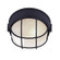 Marine One Light Outdoor Lantern in Black (387|IOL1710)