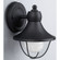 Outdoor One Light Outdoor Lantern in Black (387|IOL143TBK-C)