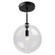 Pinpoint One Light Semi-Flush Mount in Black (78|SC13190BK)