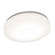 Cirrus LED Flush Mount in White (162|C2F143400L30MV-BB)