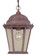 Richmond One Light Hanging Lantern in Burled Walnut (106|5206BW/SD)
