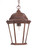 Richmond One Light Hanging Lantern in Burled Walnut (106|5206BW)