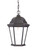 Richmond One Light Hanging Lantern in Matte Black (106|5206BK)