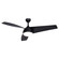 Odell 52''Ceiling Fan in Black (63|F0096)