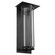 Abram LED Outdoor Lantern in Textured Black (19|710-18-69)