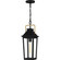 Buckley One Light Outdoor Hanging Lantern in Matte Black (10|BUK1907MBK)