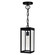 Windsor One Light Outdoor Hanging Lantern in Black (401|1695P7-1-101)