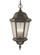 Martinsville Three Light Outdoor Pendant in Corinthian Bronze (1|OL5911CB)