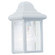 Mullberry Hill One Light Outdoor Wall Lantern in White (1|8588-15)