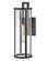 Alfie LED Wall Lantern in Black (531|82054BK)