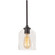 William One Light Pendant in Black (162|WMMP06MBBK)