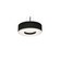 Montclair LED Pendant in Black (162|MCP1214LAJUDBK-BK)