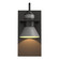 Erlenmeyer One Light Outdoor Wall Sconce in Coastal Burnished Steel (39|307716-SKT-78-02)