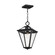 Prism One Light Pendant in Black (16|30569CLBK)