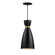 Carillon One Light Mini Pendant in Black / Satin Brass (16|11301BKSBR)