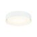 Ezra LED Ceiling Mount (423|M16616WH)