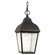 Terraace One Light Outdoor Pendant in Oil Rubbed Bronze (454|OL4011ORB)