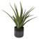 Tucson Planter in Textured, Matte And Gloss Glazes (52|60204)
