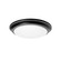 Baron LED Flush Mount in Black (162|BRNF14LAJD1BK)