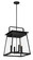 Isla Vista Four Light Outdoor Hanging Lantern in Coal (7|73216-66A)