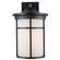 One Light Outdoor Wall Mount in Black (110|40382 BK-FR)